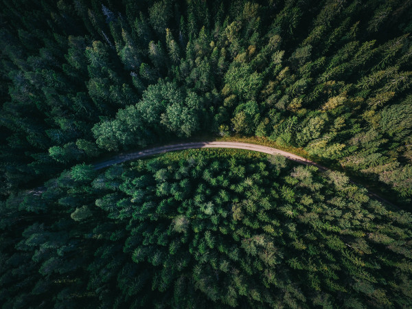 Eine Landstraße, die durch einen dichten Wald führt zu sehen aus der Vogelperspektive