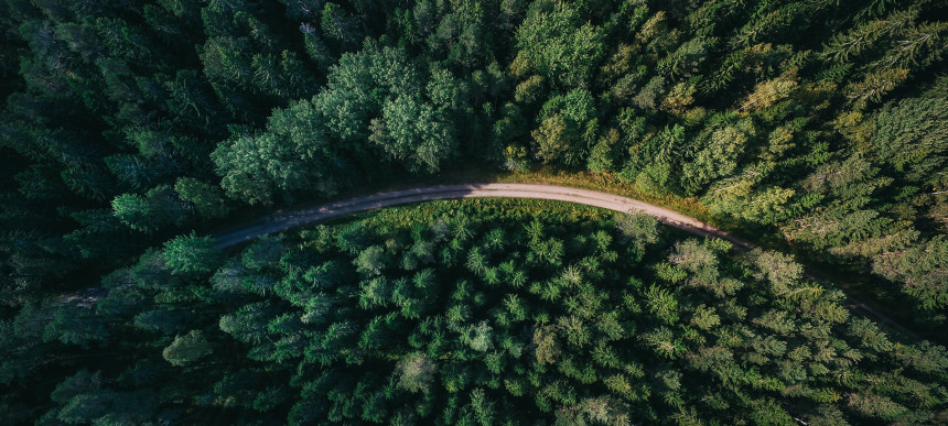 Eine Landstraße, die durch einen dichten Wald führt zu sehen aus der Vogelperspektive